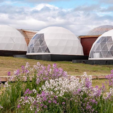 Garden Domes Villa Puerto Natales Exterior photo