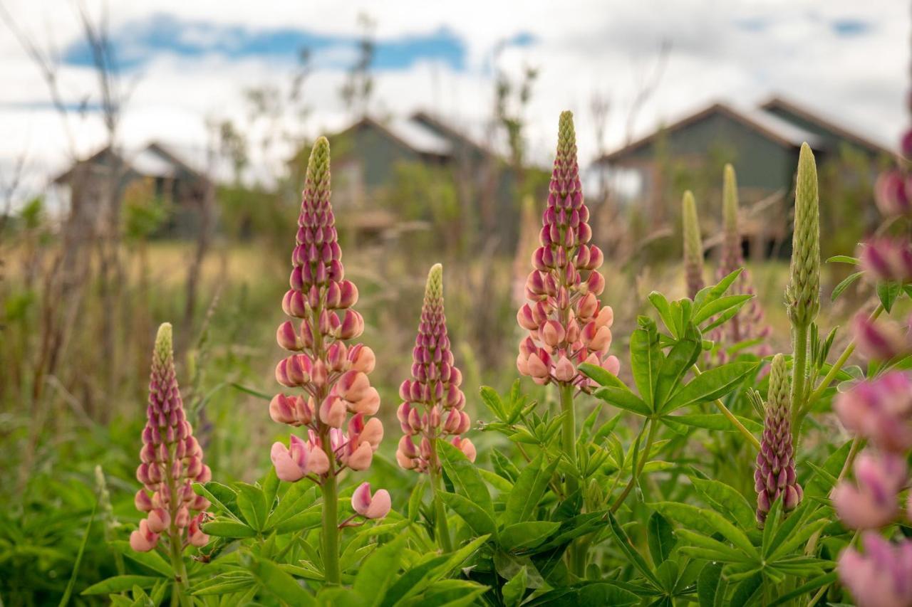 Garden Domes Villa Puerto Natales Exterior photo