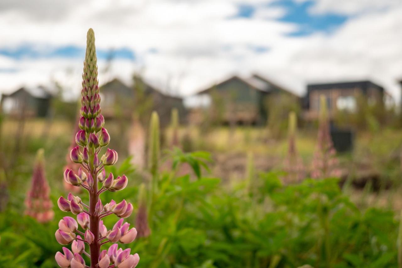 Garden Domes Villa Puerto Natales Exterior photo