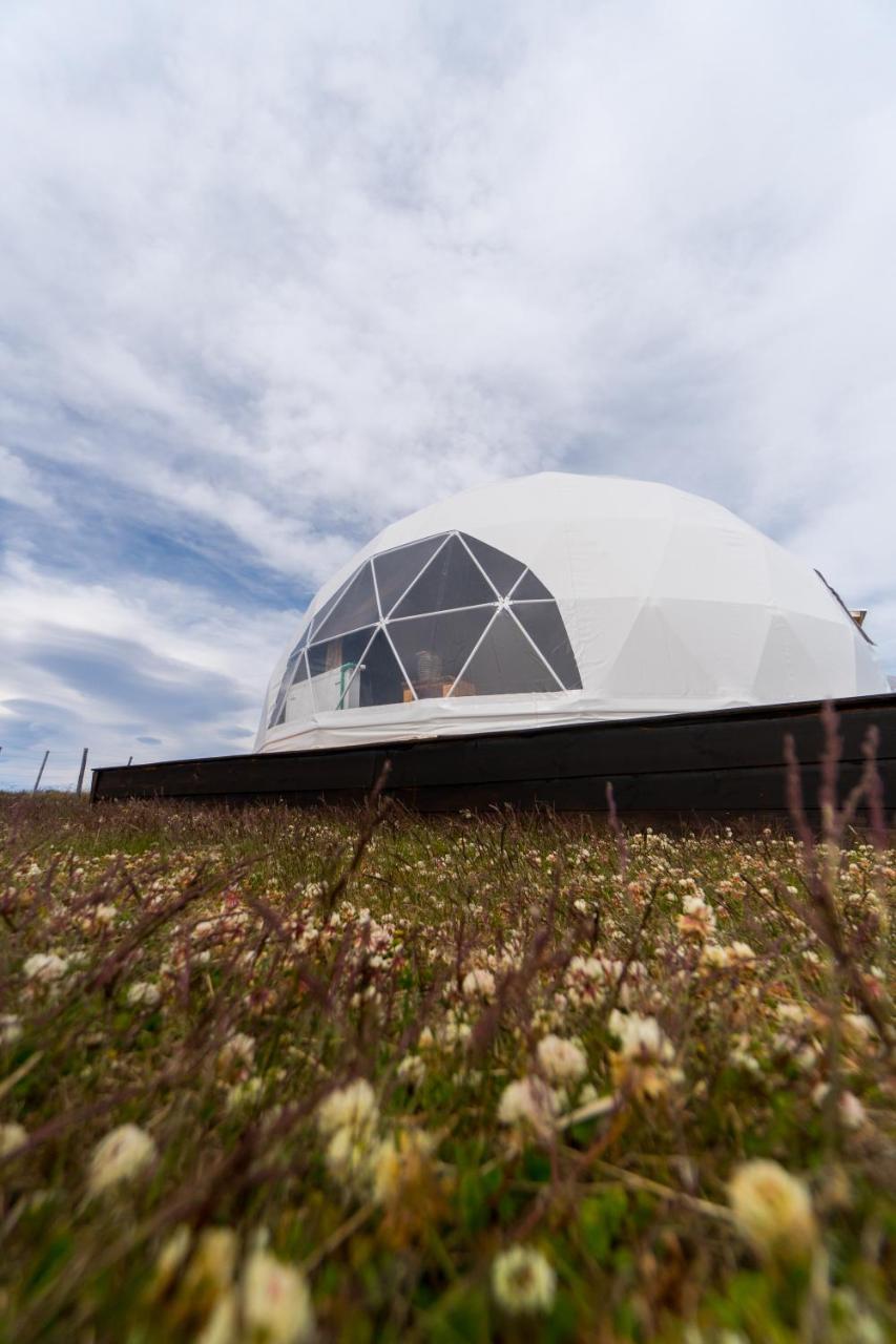 Garden Domes Villa Puerto Natales Exterior photo